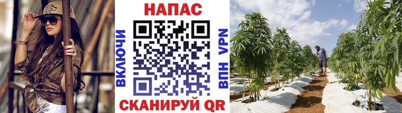 Бошки марихуана тримм  Купить где  Приморско-Ахтарск 